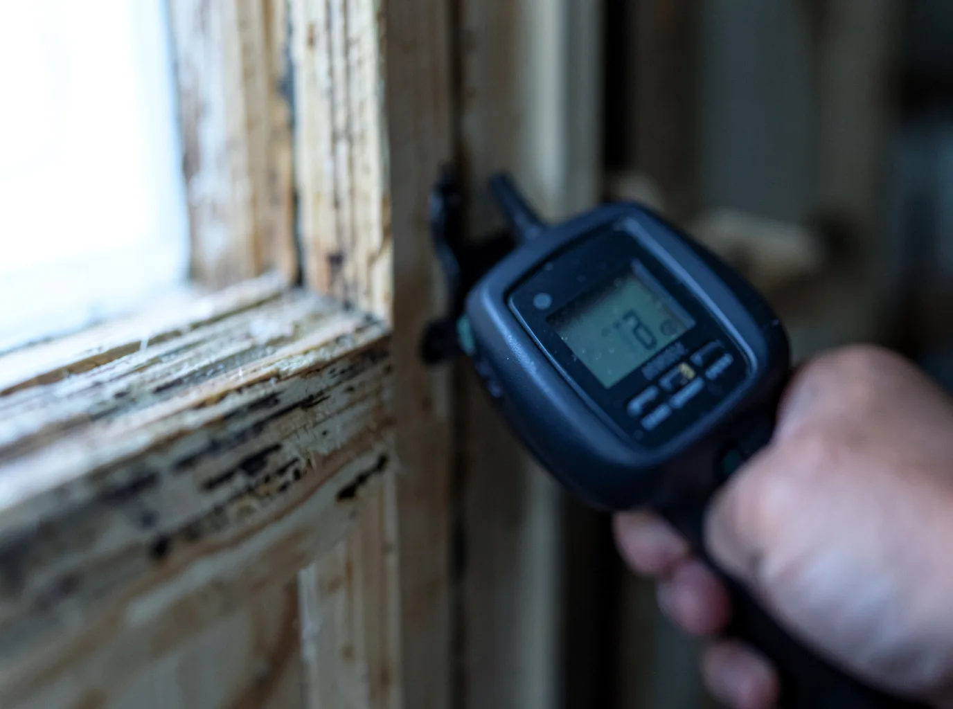 Moisture Inspection And Documentation in Delanson, NY